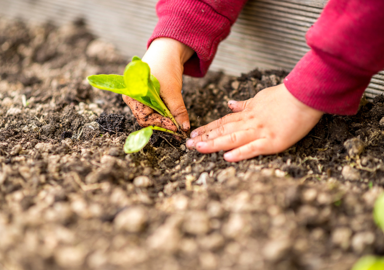 Nové dotační výzvy míří na environmentální výchovu školáků i vzdělávání pedagogů