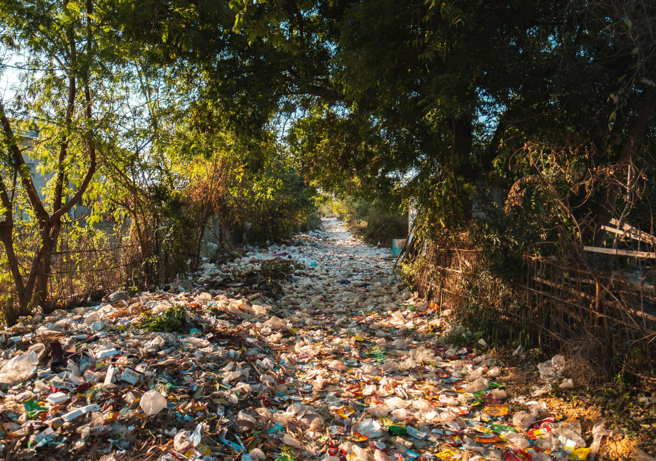 Bezmála půl miliardou korun podpoříme třídění a dotřiďování odpadů i chemickou recyklaci odpadů