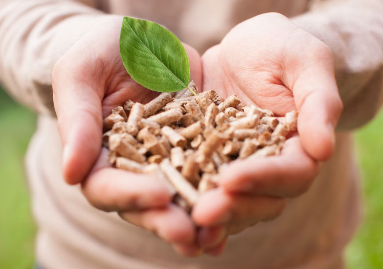Vyhlášení výzvy I Obnovitelné zdroje energie – biomasa