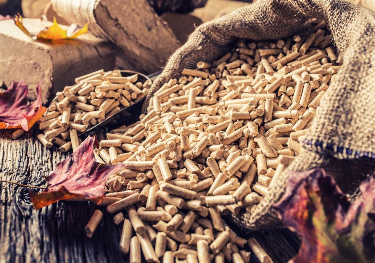 Příjem žádostí o podporu do výzvy I Obnovitelné zdroje energie – biomasa byl zahájen